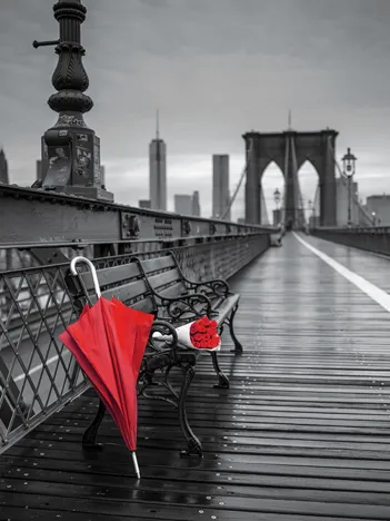 Produit Pont Brooklyn Image