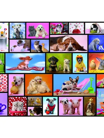 Produit Moments Partagés Image