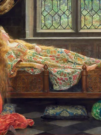 Produit Sleeping Beauty Image