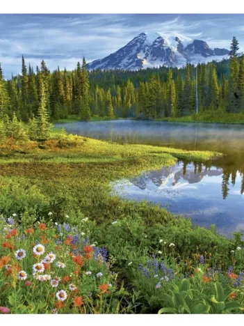 Produit Parc National Du Mont Rainier, Etats-unis Image