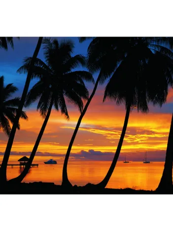 Produit Bora Bora Image