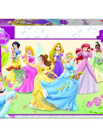 Produit Princesses Disney Image