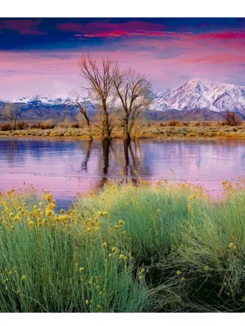 Produit Fin d'été Image