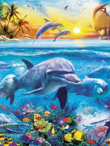 Produit Famille de Dauphins Image