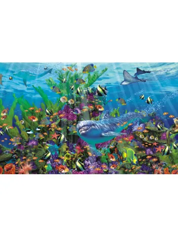 Produit Dauphins Image