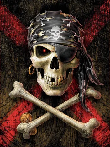 Produit Crâne de pirate Image