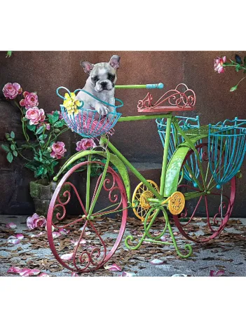 Produit Bulldog Français Image