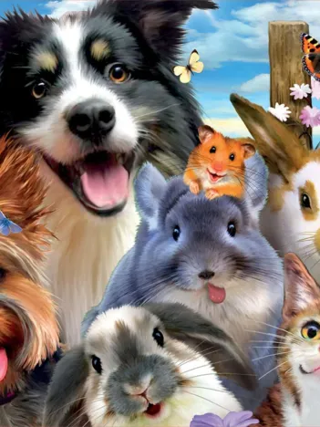 Produit Selfie des Animaux Domestiques Image