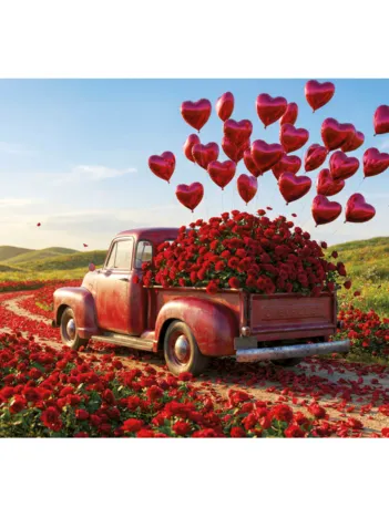 Produit Pièces XXL - Pickup de la Saint-Valentin Image