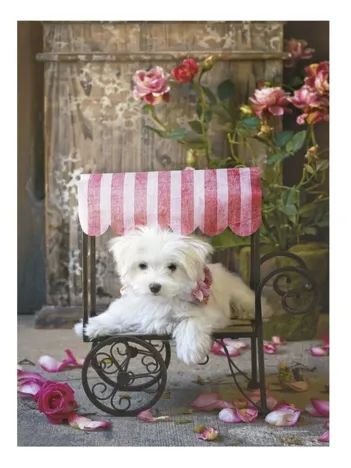 Produit Lisa Jane : Be My Valentine Image