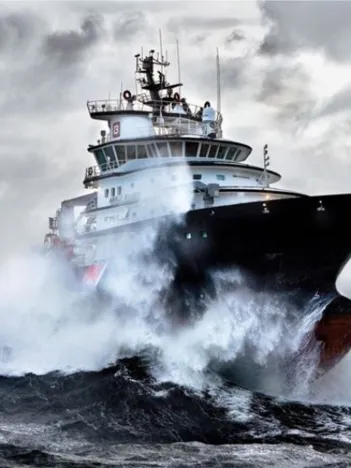 Produit Philip Plisson - Abeille Bourbon Image