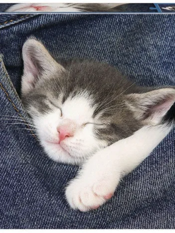 Produit Doux Rêves Image