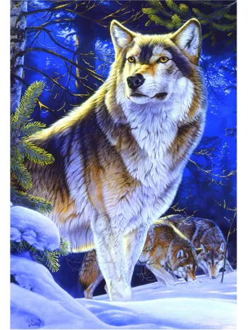 Produit Loup à l'affût Image