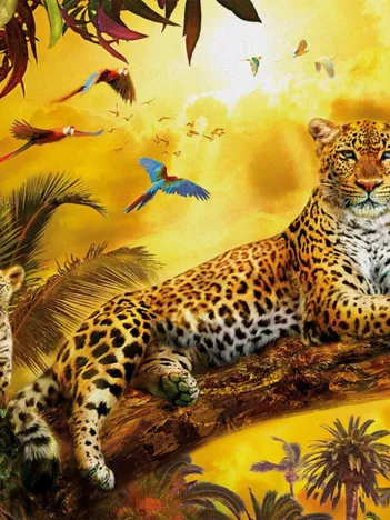 Produit Léopards Image