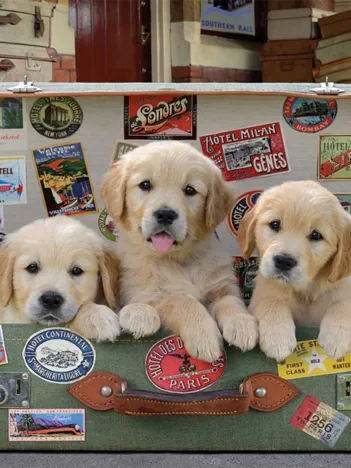 Produit Puppies in the Luggage Image