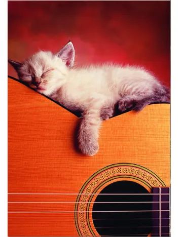 Produit Ma guitare Image