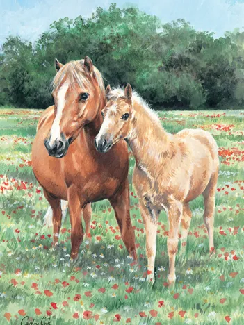 Produit Mother & Foal Image