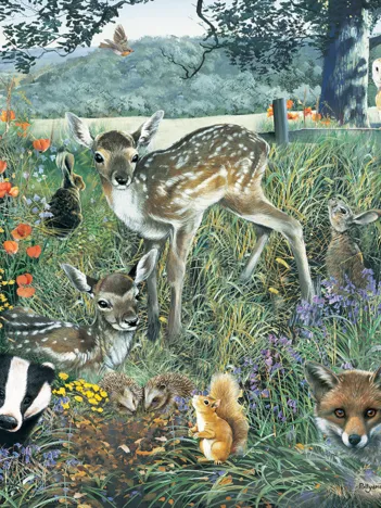 Produit Woodland Friends Image