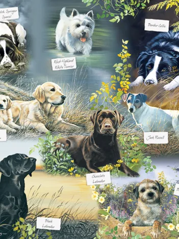 Produit Man's Best Friend Image