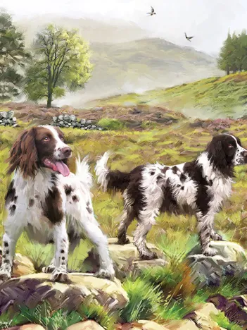 Produit Spaniels On The Moor Image