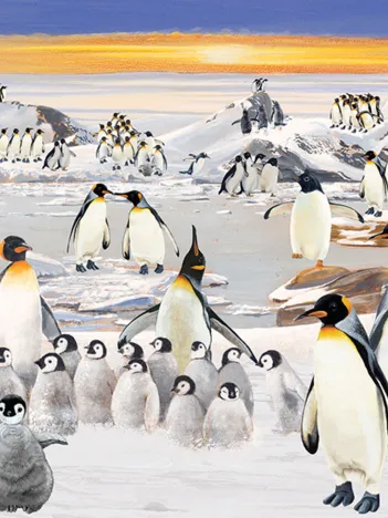 Produit Penguin Party Image