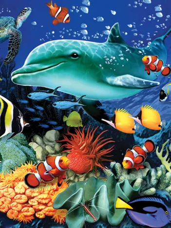 Produit Coral Reef Image