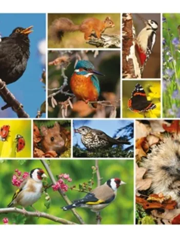 Produit RSPB - Great British Wildlife Image