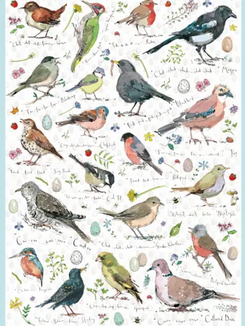 Produit Birdsong Image