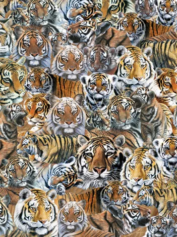 Produit Impossible Puzzle - Tigers Image