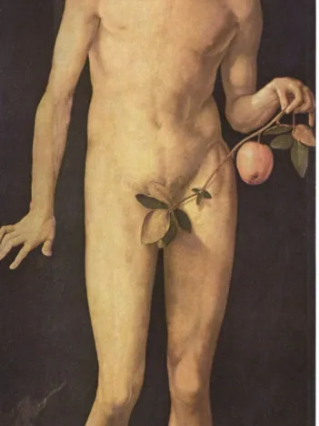Produit Albrecht Dürer - Adam Image