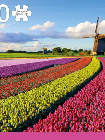 Produit PREMIUM COLLECTION - CHAMP DE TULIPES (1000 PIÈCES) Image