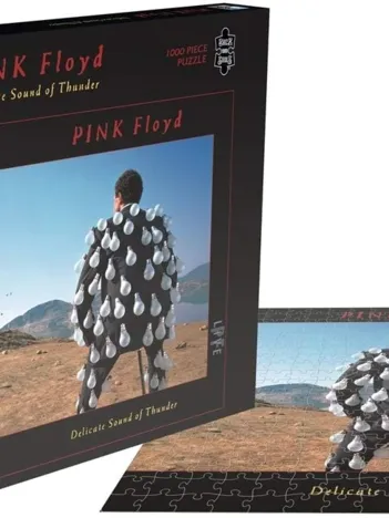Produit Pink Floyd - Delicate Sound of Thunder Image