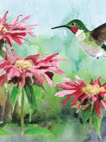 Produit Ruby-throated Hummingbird Mini Image