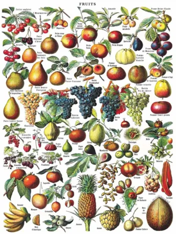 Produit Fruits Image