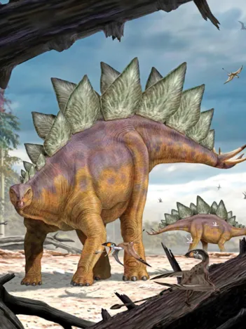 Produit Pièces XXL - Stegosaurus Image