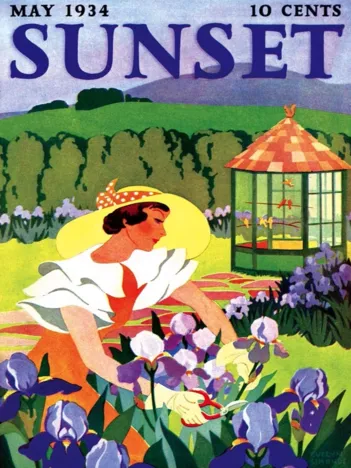 Produit Pièces XXL - Sunset - Iris Gardening Image
