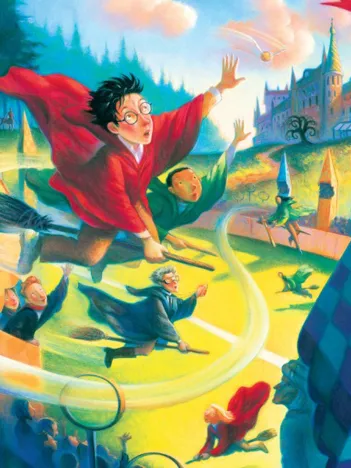 Produit Pièces XXL - Harry Potter - Quidditch Image