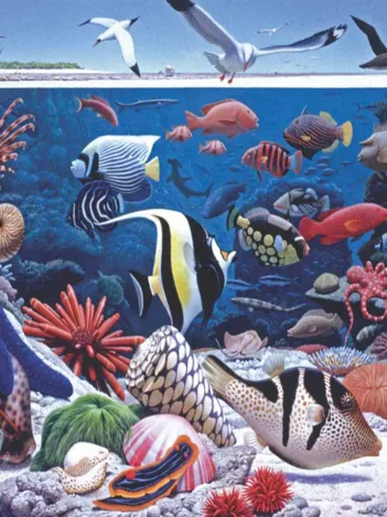 Produit Pièces XXL - Ocean Life Image