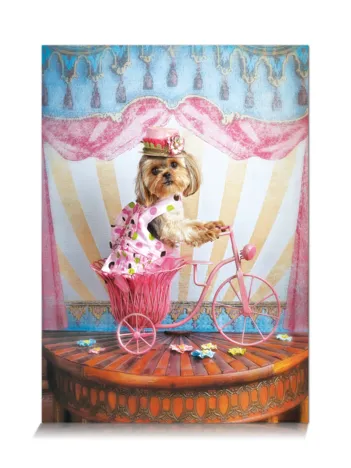 Produit Voyageur Rêveur Image