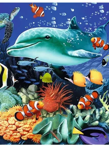 Produit Puzzle en Bois - Sea Life Image