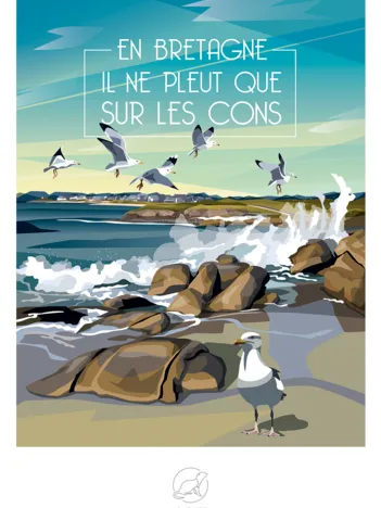 Produit En BRETAGNE Il ne pleut que sur les Cons Image