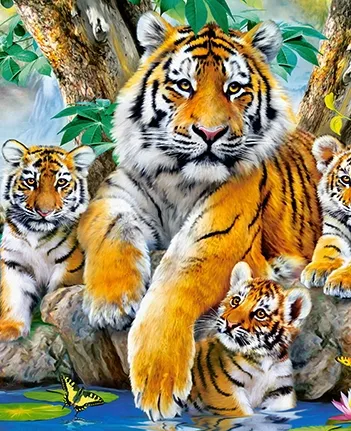 Produit Tigers by the Steam Image