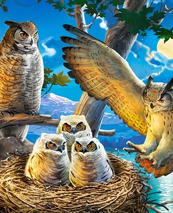 Produit Famille de Hiboux Image