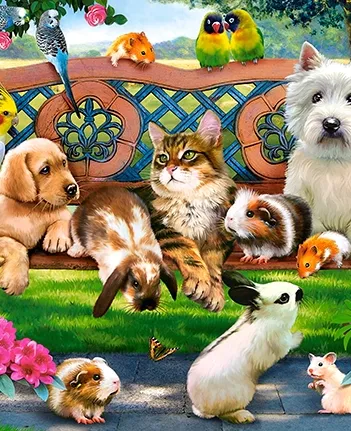 Produit Pets in the Park Image