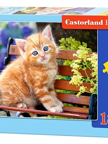 Produit Ginger Kitten Image