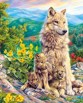 Produit Nouvelle Génération Image