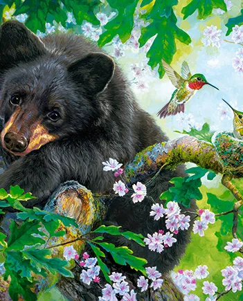 Produit J'aimerais Pouvoir Voler Image