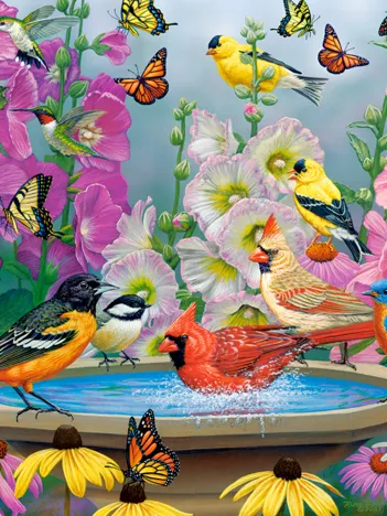 Produit Rythme de la Nature Image