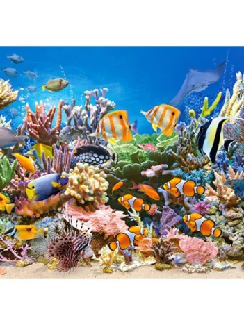 Produit Banc de sable Image