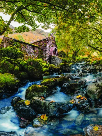 Produit Watermill Image